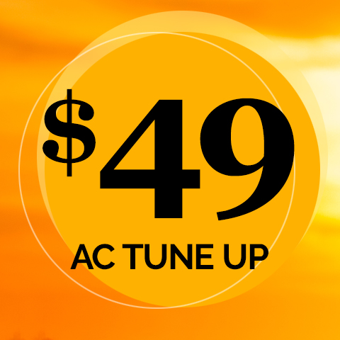 $49
